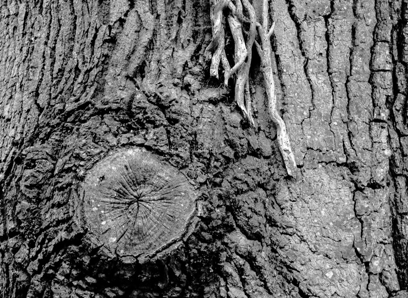 RichardB - textures-2.jpg