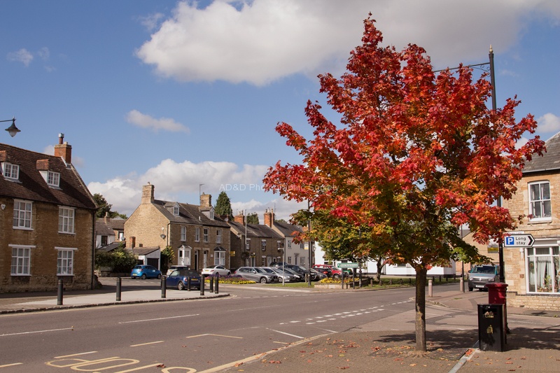 Colin - Autumn Colours 3.jpg