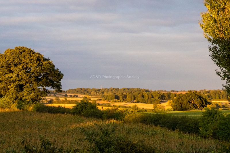 Twyford Fields.jpg