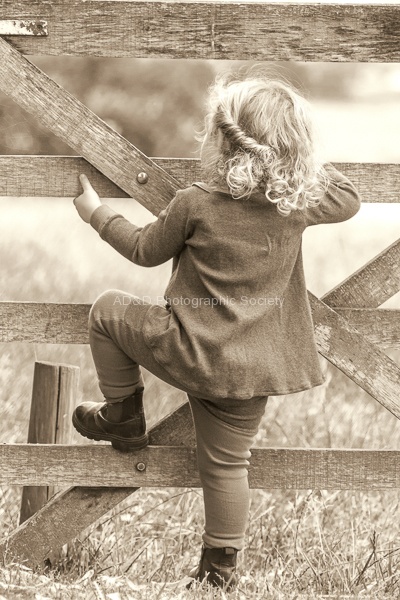 Darcy Pondering-Gail.jpg