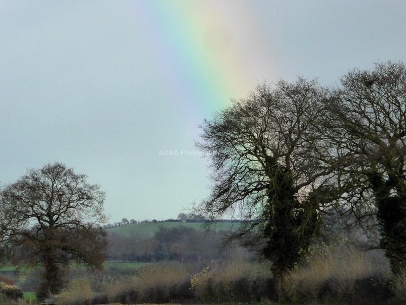 JohnP 1Rainbow.jpg