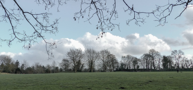 RichardB- Landscape 4.jpg