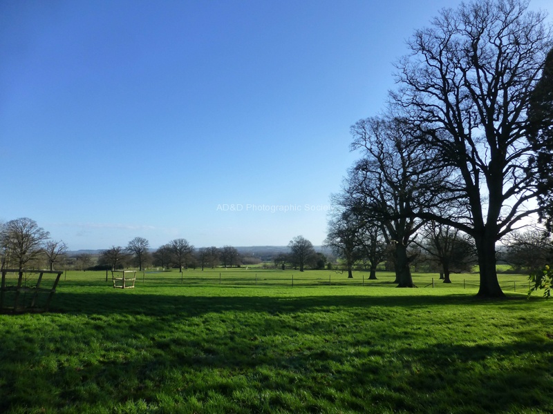 Roy Landscape 1.jpg