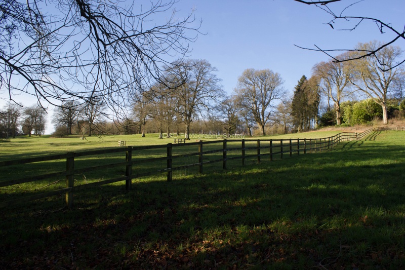 Roy Landscape 4.jpg