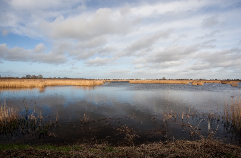 Stuart Landscape_SMW_2.jpg