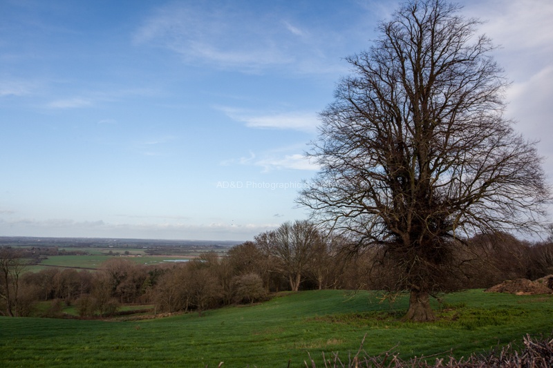 Stuart Landscape_SMW_3.jpg