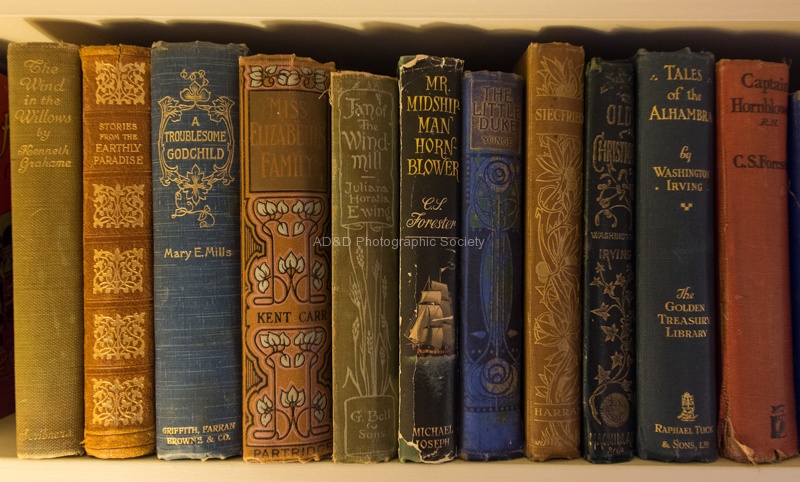 Wendy1-Books.jpg