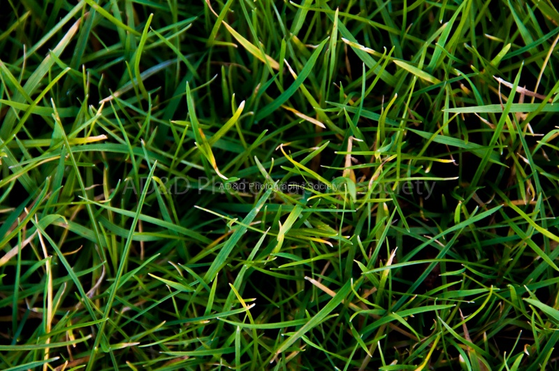 JohnP 2 - The Green Green Grass of Home (Tom Jones