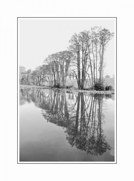 Maureen - Reflections.jpg