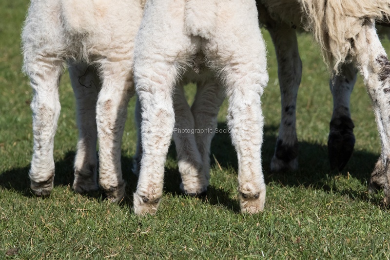 Colin - Feet 5.jpg