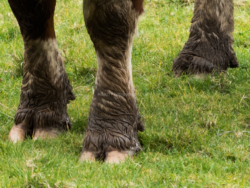 RichardB -Feet 4.jpg