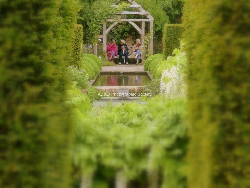 Through the trees JP1.jpg
