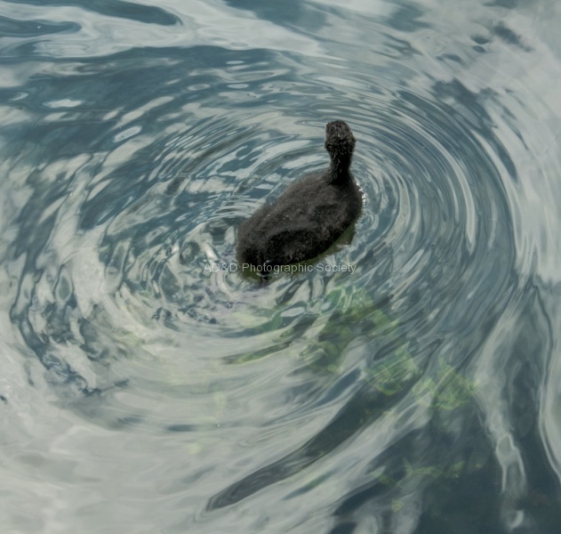 Martyn Bibury_water1.jpg