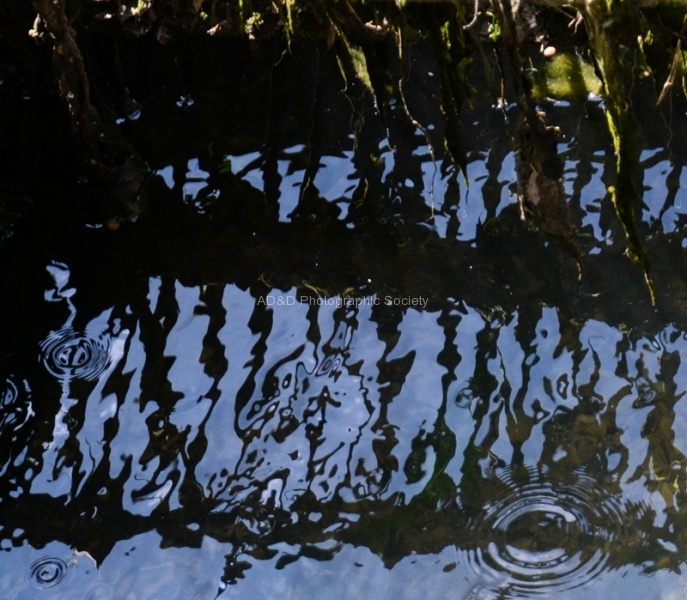 Wendy-2-Grille reflection, Bibury-.jpg
