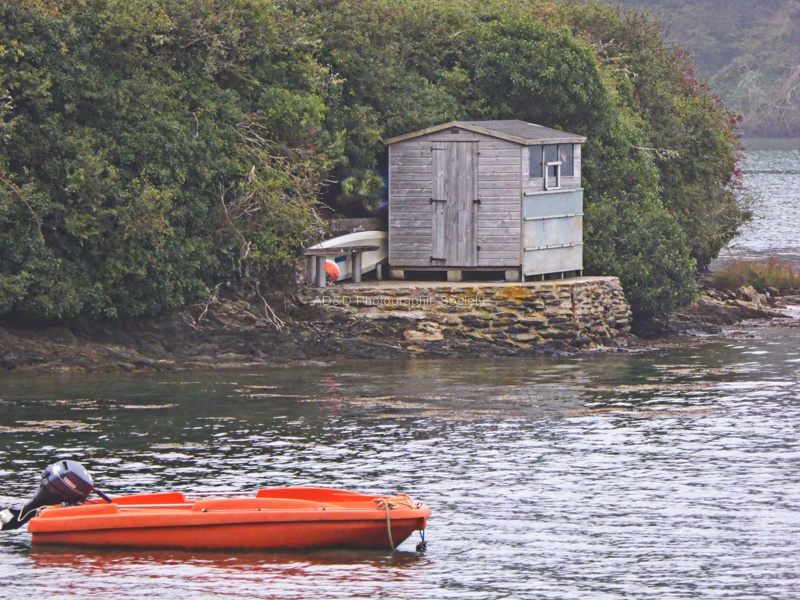 Janet Iconic 3 JB.jpg