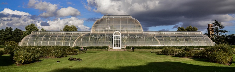 Wendy1-Kew Palm House.jpg