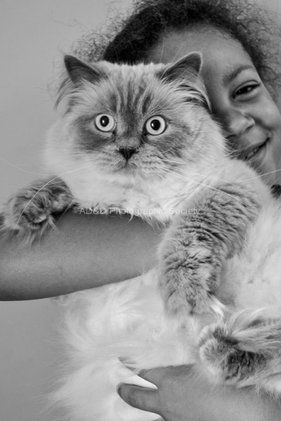 B Difford - Puddy Cat.jpg