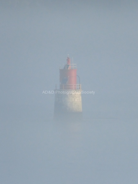M Wild - Harbour Mist.jpg