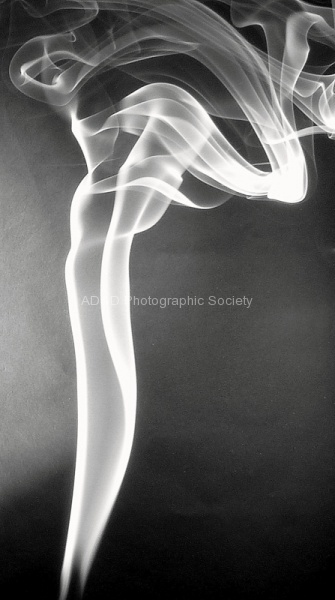 P Wilesmith - Smokey Stocking.jpg