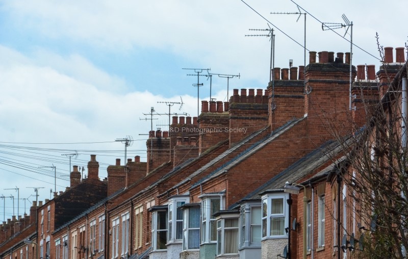 Martyn-Rooftops 1.jpg
