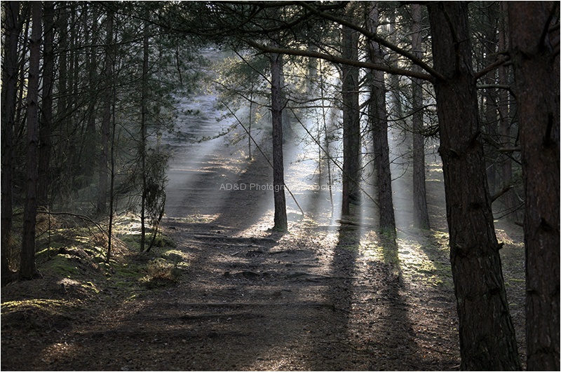 Into the light