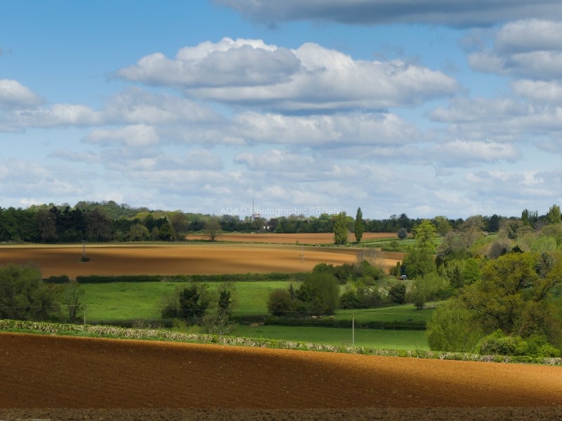 Roy Bloxham Grove looking to Bretch Hill 1.jpg