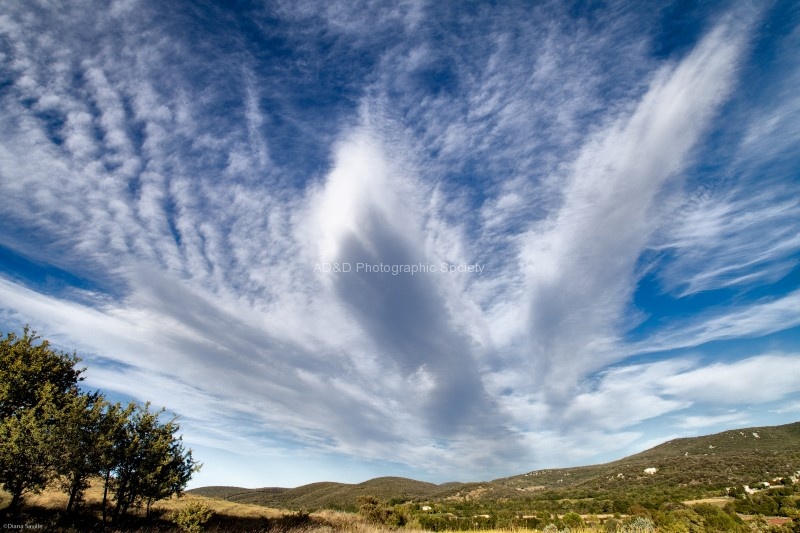 Diana1 2 Clouds FT.jpeg
