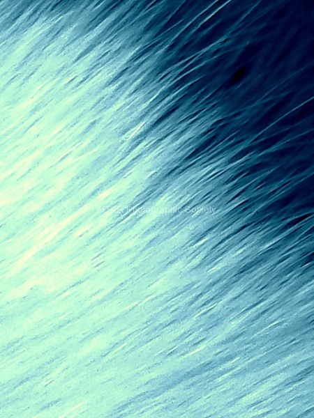 John P Hair 1.jpg