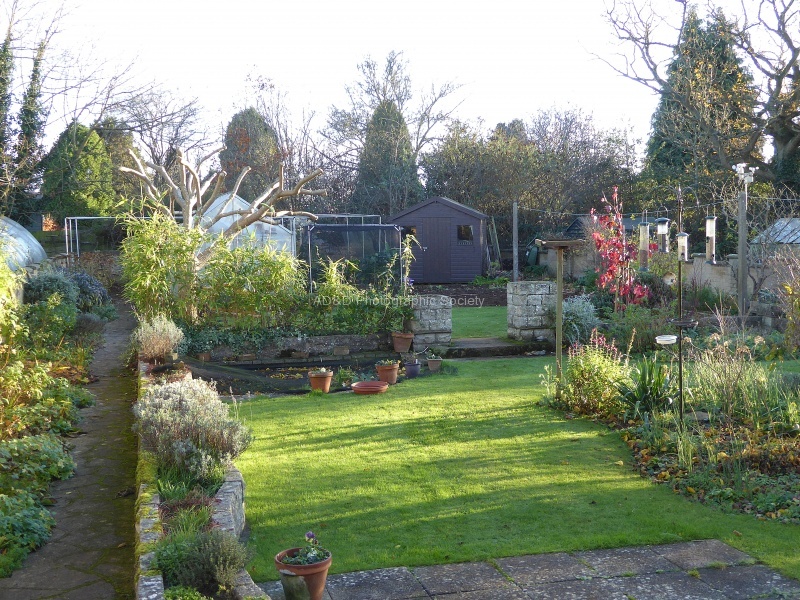 Garden.JPG