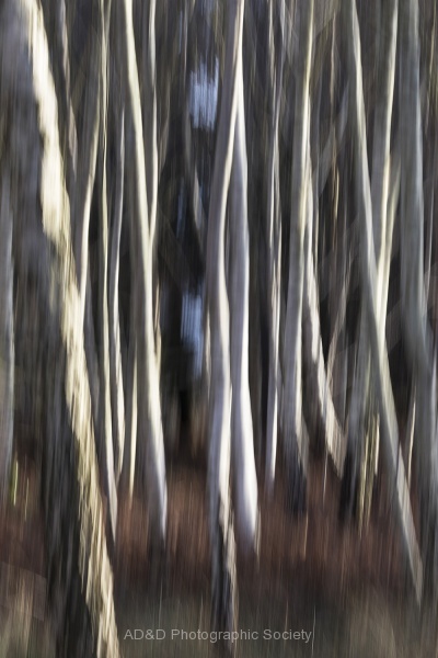 ICM 1 - Colin Lamb.jpg