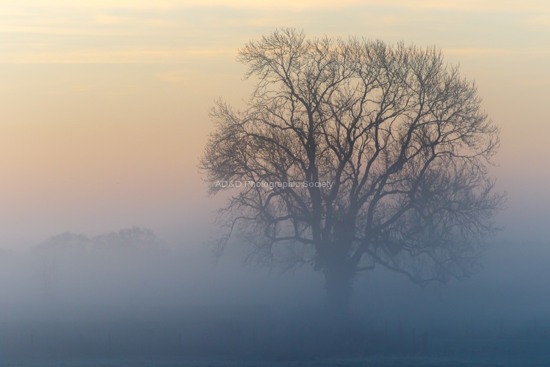 Kings Sutton Haze, by Bob Mahoney