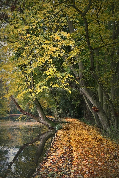 The Well Worn Path, by Gail Girvan