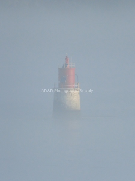 Harbour Mist, by Miggy Wild