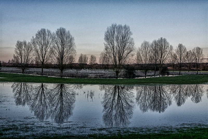 Flooded Fields, by Wendy Meagher