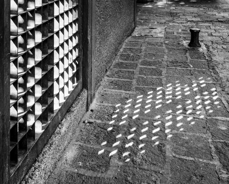Shadows and Light, by Wendy Meagher