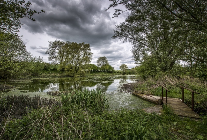 Mick National Trust-2.jpg