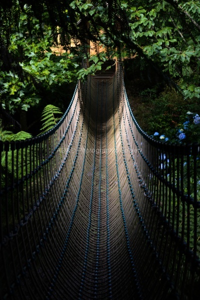 Martyn_Rope_bridge_2.jpg