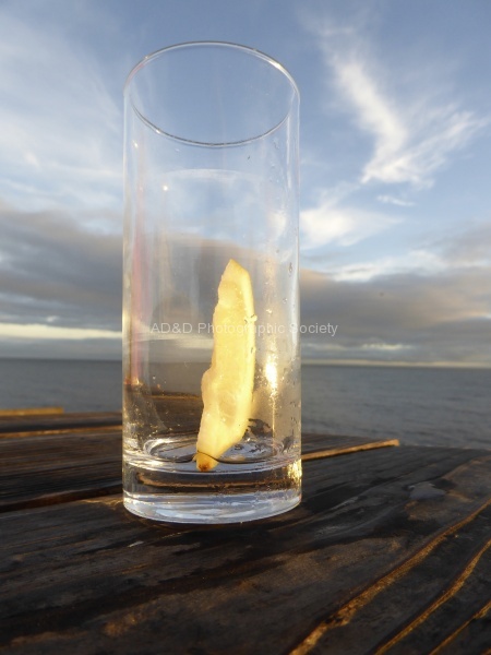 Miggy_Glass at sunset.jpg