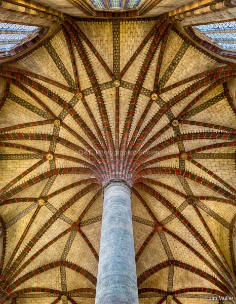 Palm Tree of the Jacobins, by Jim Muller