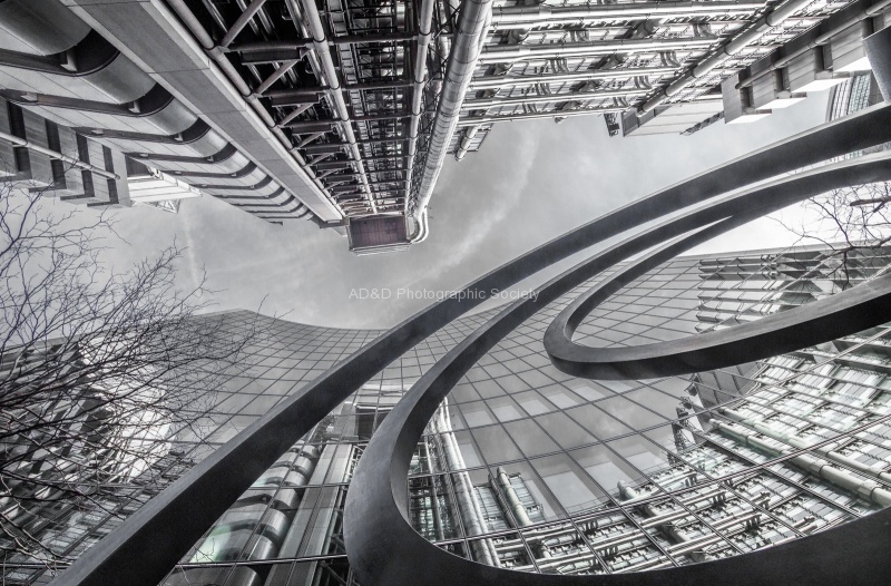 Skywards, by Diana Saville