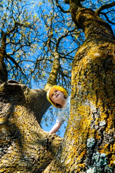 A Small Girl in a Big, Big World, by Bob Mahoney