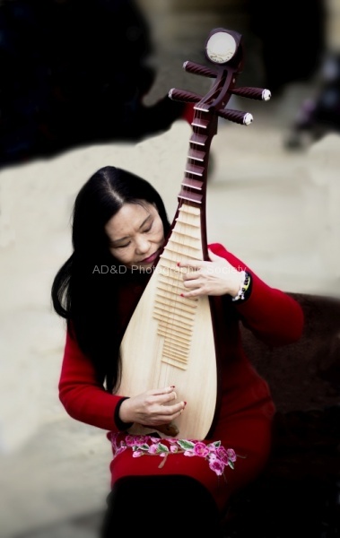Chinese Instrumentalist 2, by Paul Brewerton LRPS