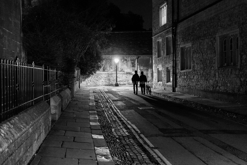 Heading Home, by Diana Saville