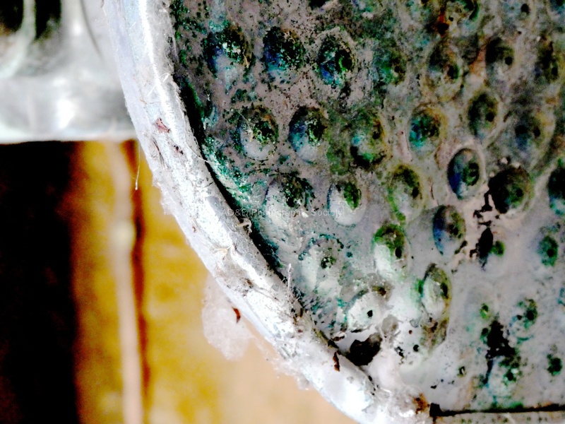 Decontamination Shower, by Miggy Wild