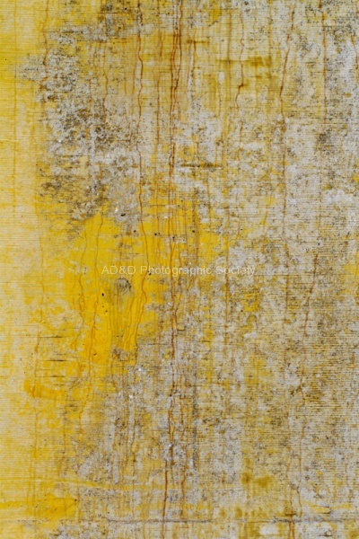 Yellow On Concrete, by Miggy Wild