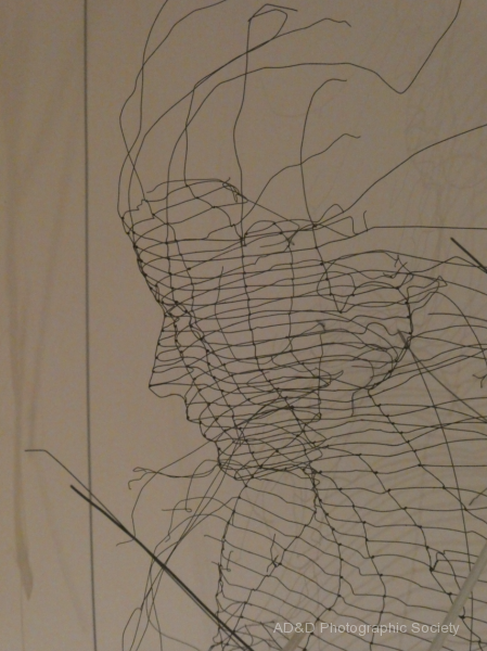 Face in wire