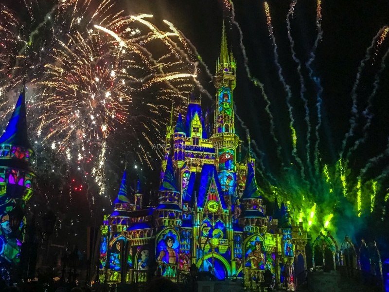 Disney Fireworks, by Neil Grantham