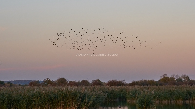 Otmoor formation, by Cliff May