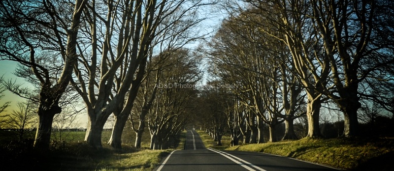 Road to Badbury Rings, by Wendy Meagher