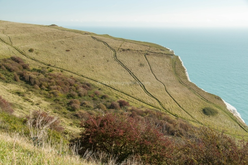 Dover Cliffs, by Elaine Argent